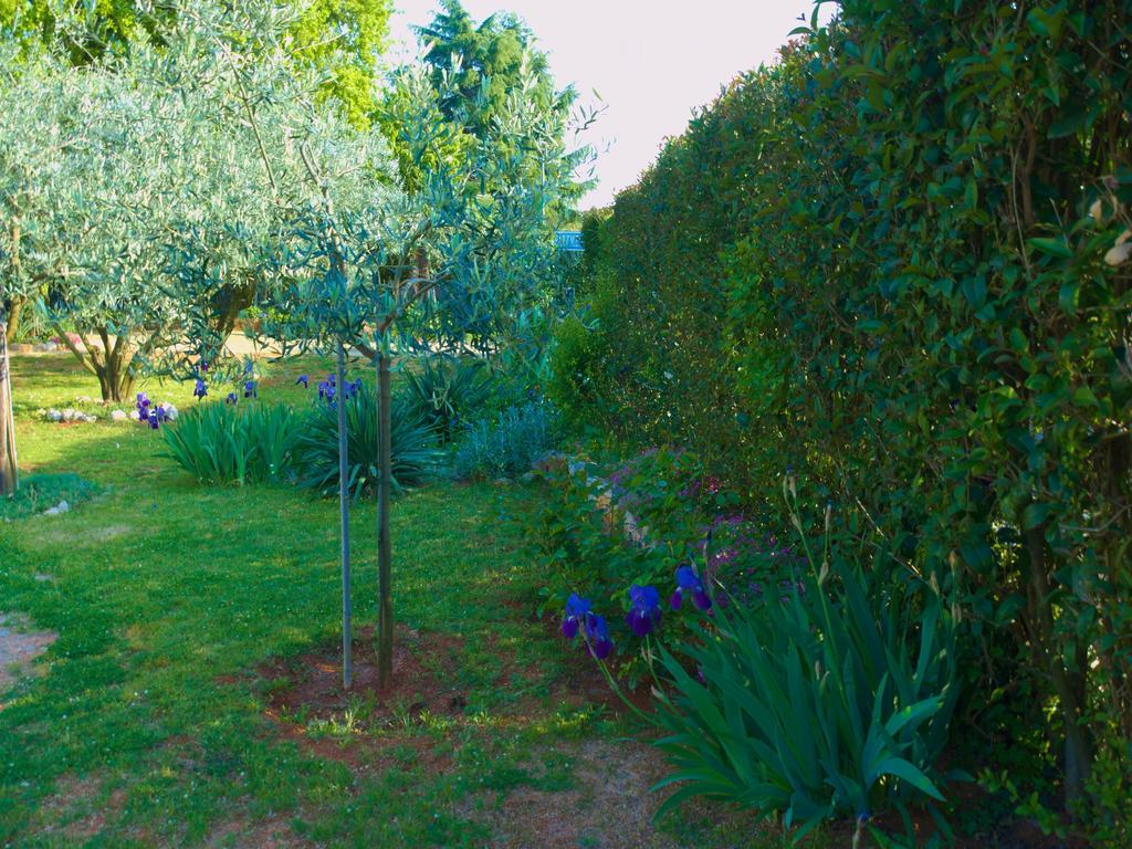 Apartment Nada Porec